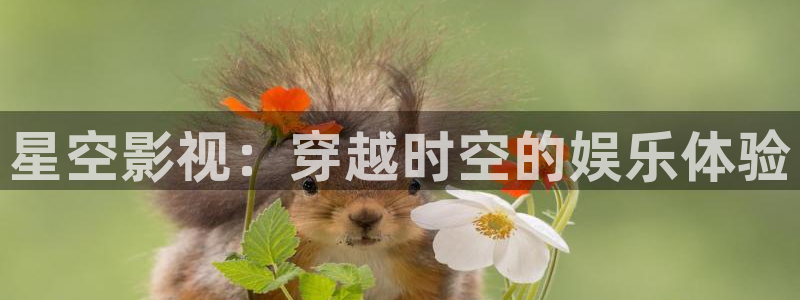 人人永久免费精品视频