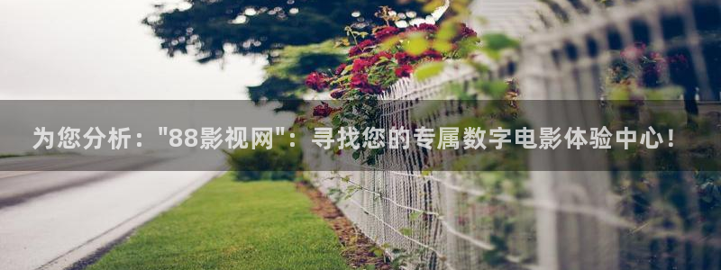 精品视频人人做人人爱