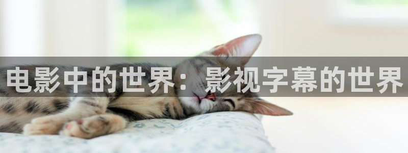 看黄视频人人干全